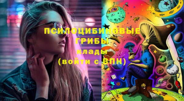 винт Новозыбков