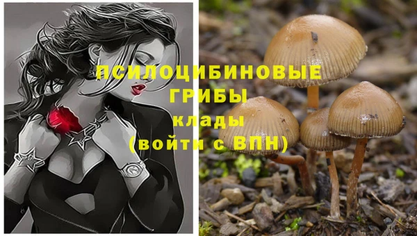ешки Новокубанск