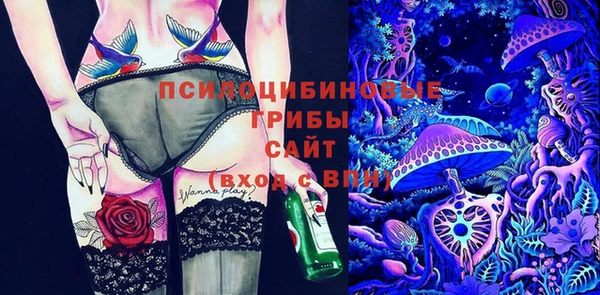 винт Новозыбков