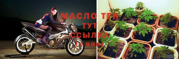 винт Новозыбков