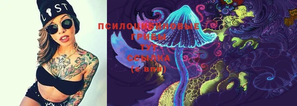 mdma Няндома