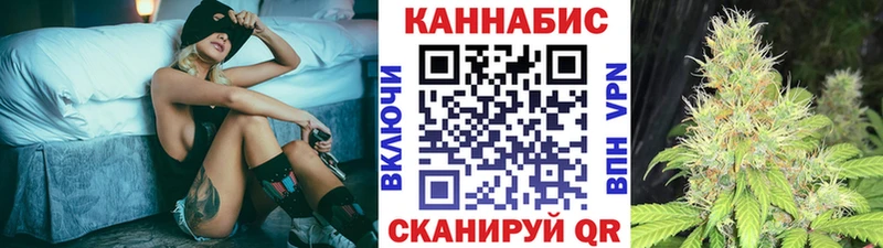 Каннабис индика Озёрск